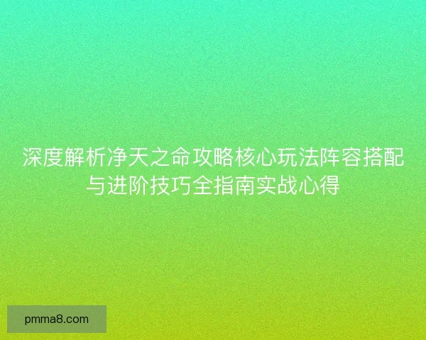 深度解析净天之命攻略核心玩法阵容搭配与进阶技巧全指南实战心得